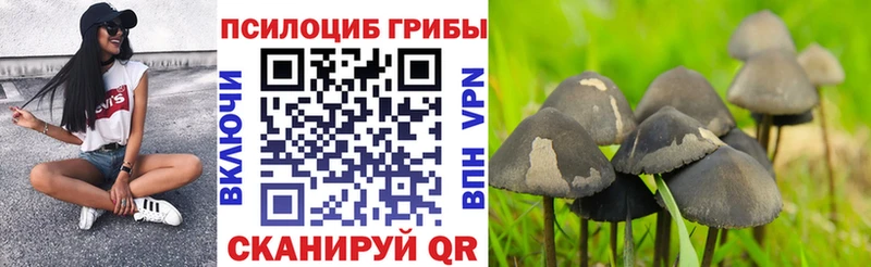 мега ONION  Алдан  Псилоцибиновые грибы мухоморы  где купить наркоту 
